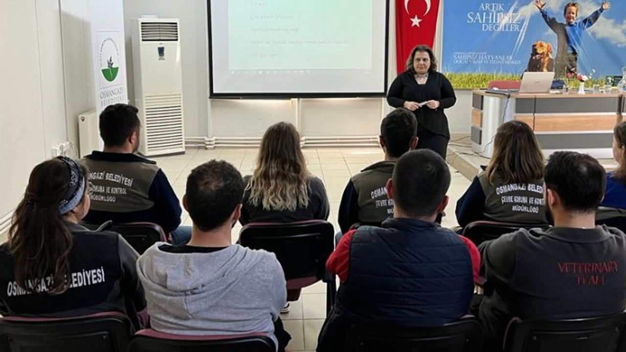 Bursa Osmangazi'de barınak personeline mesleki eğitim