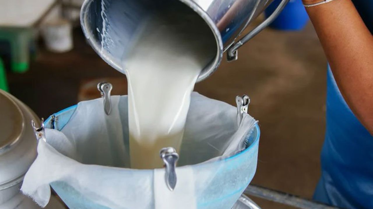 Çiğ süt üretimi yüzde 7,1 azaldı