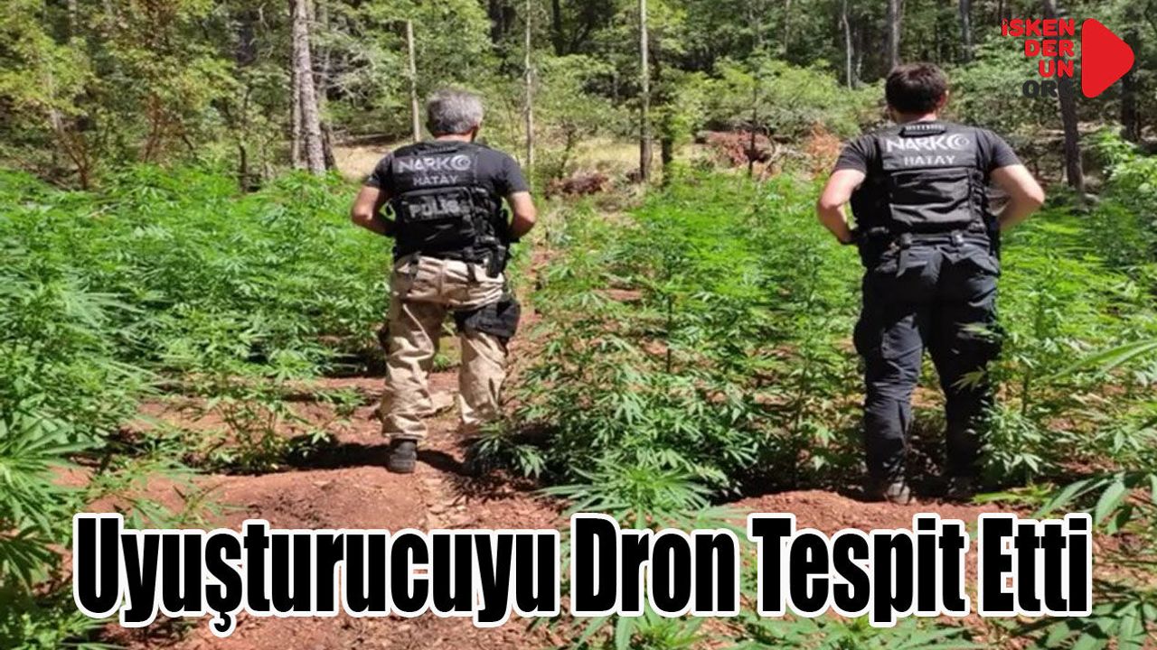 Ormanlık Alanda Yetiştiriyorlar