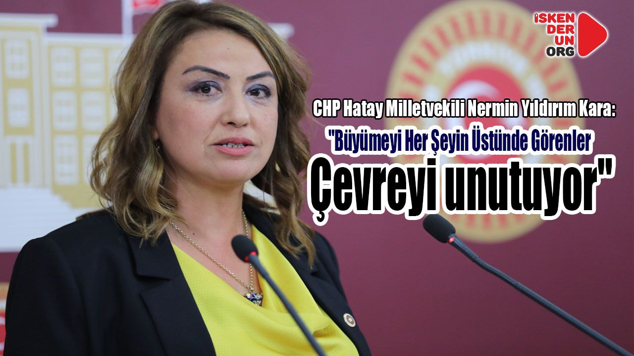 “Büyümeyi her şeyin üstünde görenler Çevreyi unuttu!”