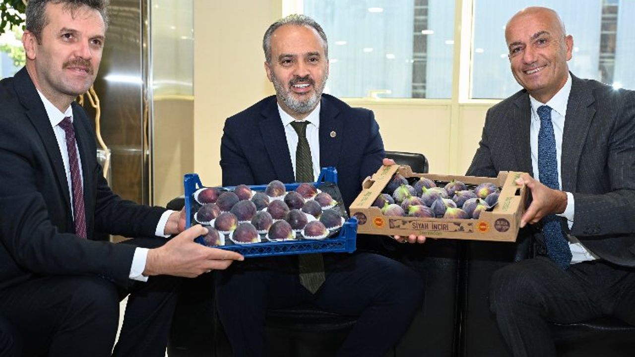 Alım heyetleri Bursa Siyah İnciri Çalıştayı'nda buluştu