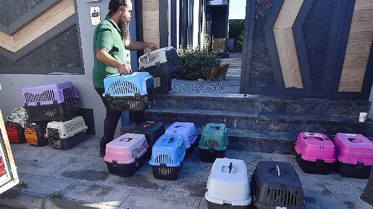 İzmir’de mobil araçla kısırlaştırma hizmeti sürüyor
