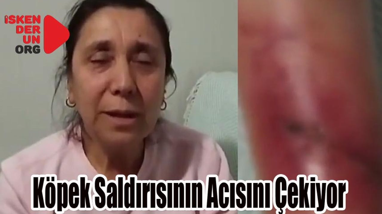Köpeğin Isırdığı Yara Kapanmadı
