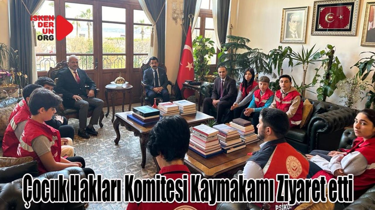 İlçe Düzeyinde Kurulan Tek Komite