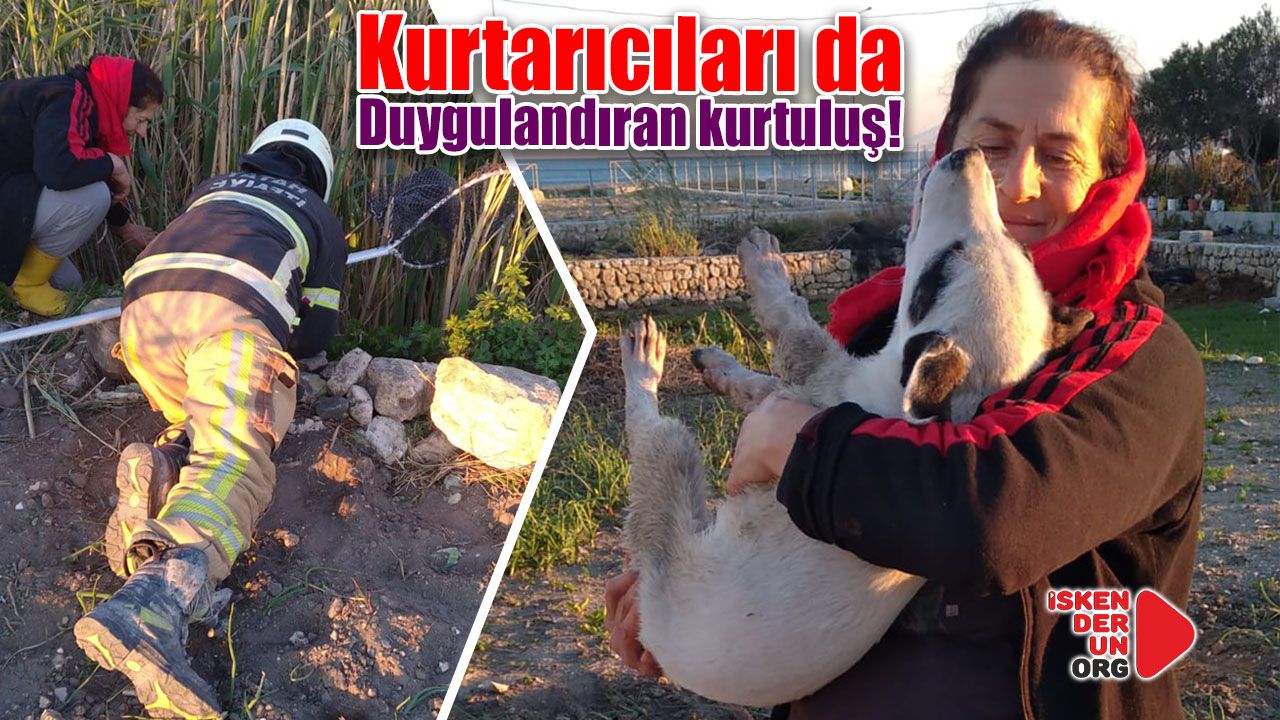 Kurtarılan köpekle sahibi duygulandırdı…