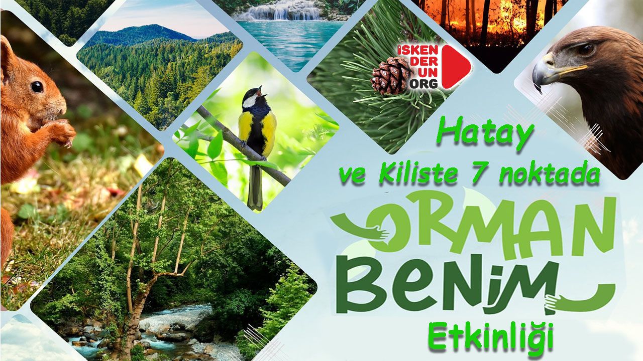 Hatay ve Kilis'te 7 noktada “Orman Benim” etkinliği…