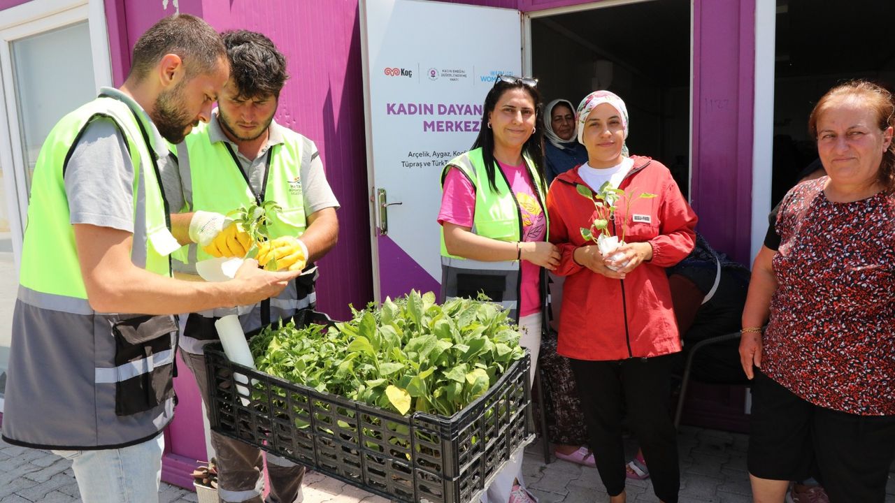 HBB’den Vatandaşlara Fide Dağıtımı