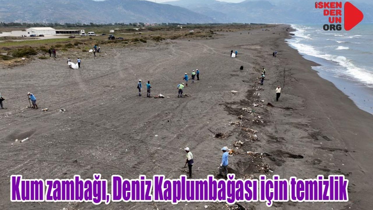 Sahil Temizliği Elle