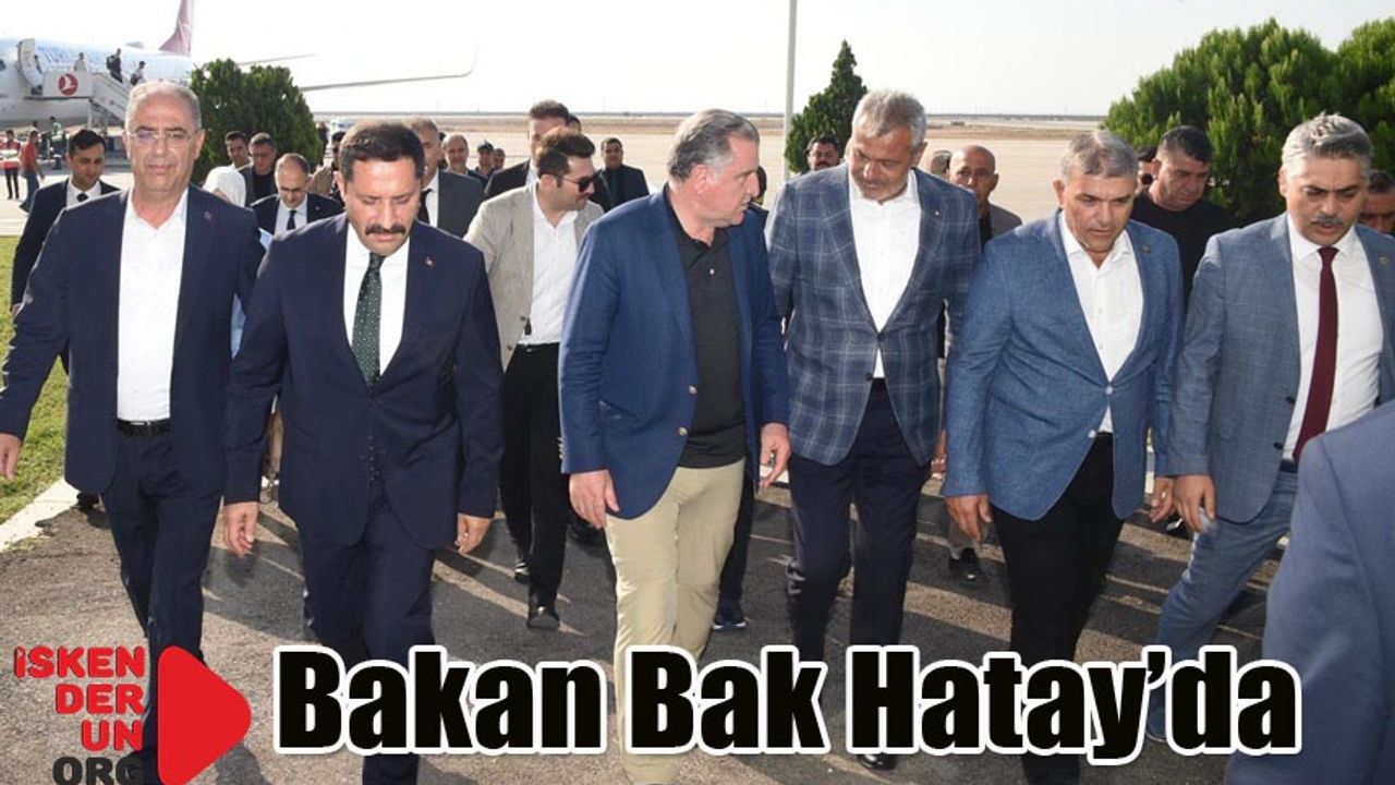 Bakanlığı ile ilgili İncelemelerde