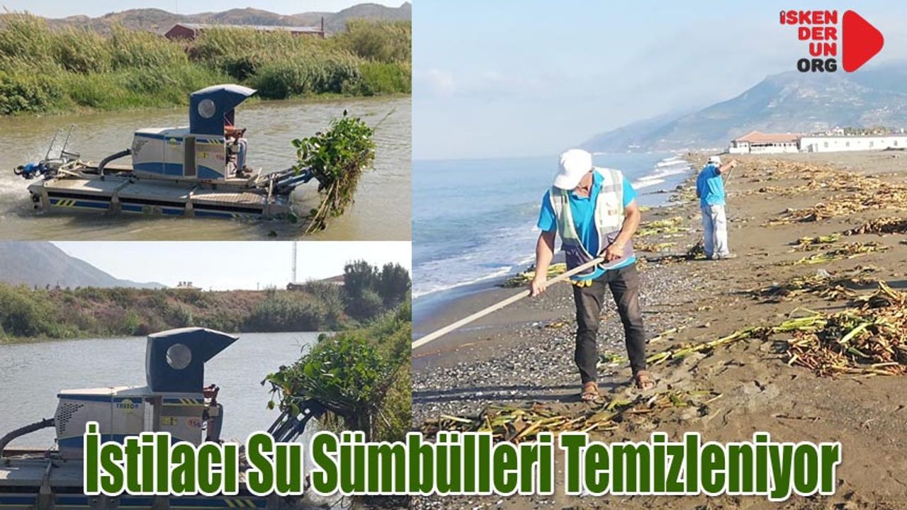 HBB Ekipleri Temizliyor