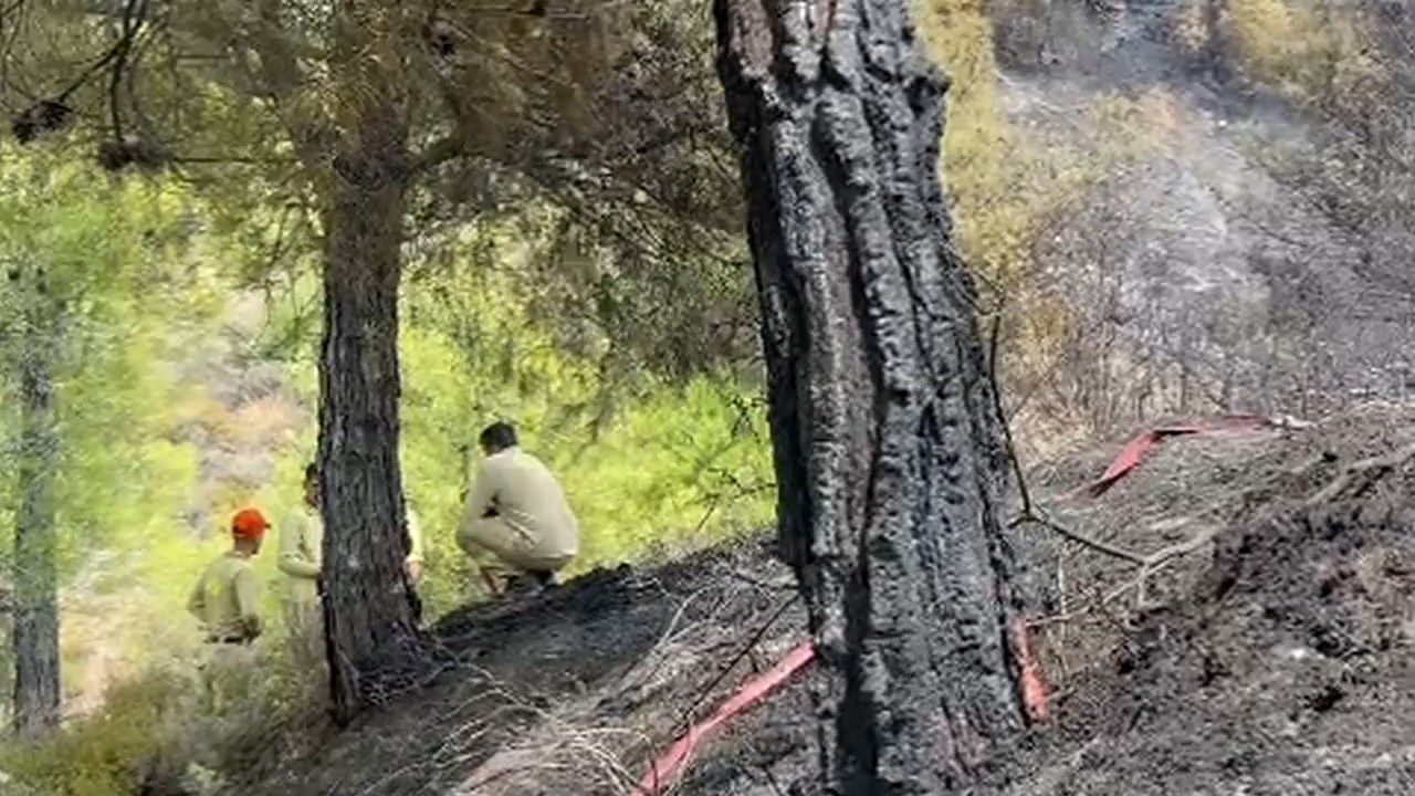 Antakya Karaksı Bölgesinde Orman Yangını…