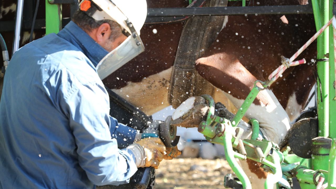 HBB'den ücretsiz tırnak bakımı…