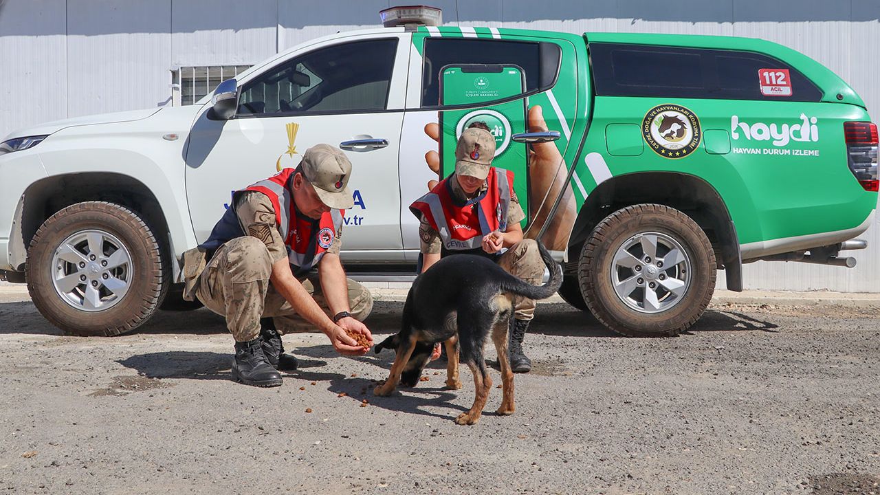 Hayvanları koruma gününde farkındalık etkinliği…
