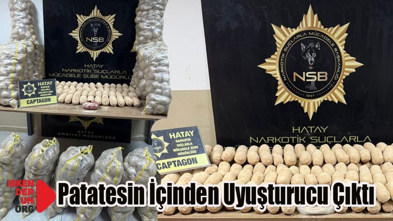 Zeytindalı Harekat Kapısında
