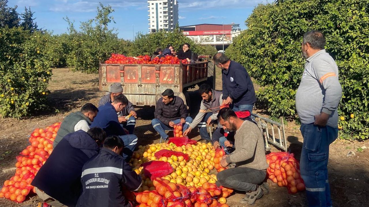 İskenderun Ziraat Park, Öğrencileri Ağırladı