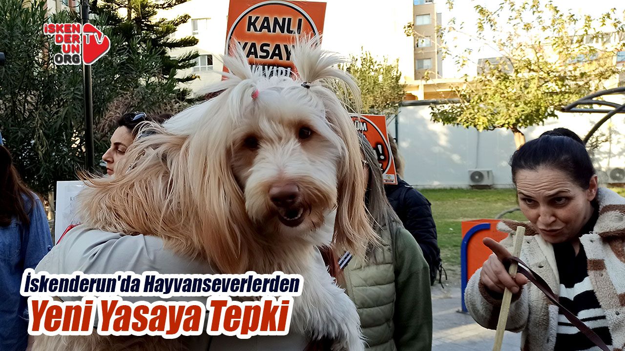 İskenderun’da Hayvanseverlerden Yeni Yasaya Tepki