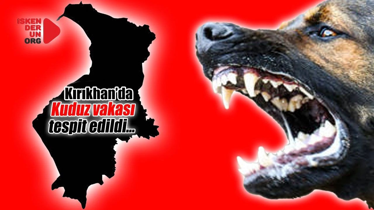 Kırıkhan’da Kuduz Vakası…