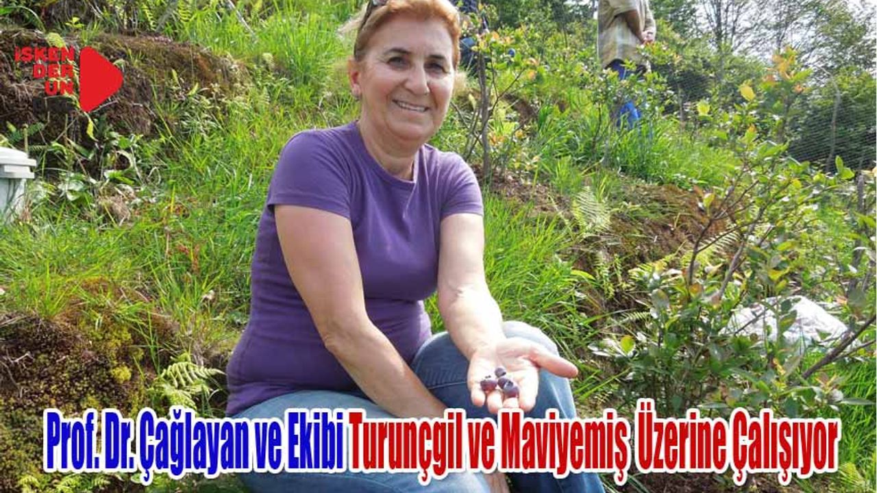 Tarım Sektörüne Işık Olacak