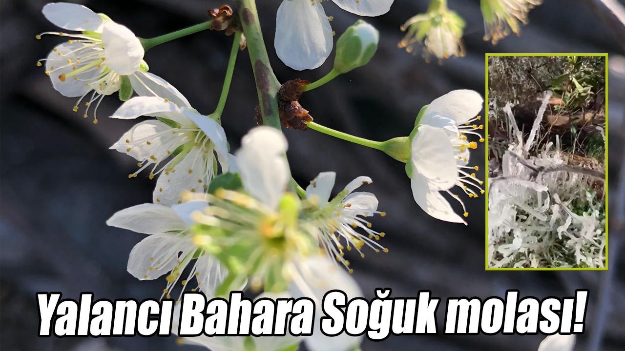 Hava sıcaklığı 30 dereceden 9 dereceye düştü…