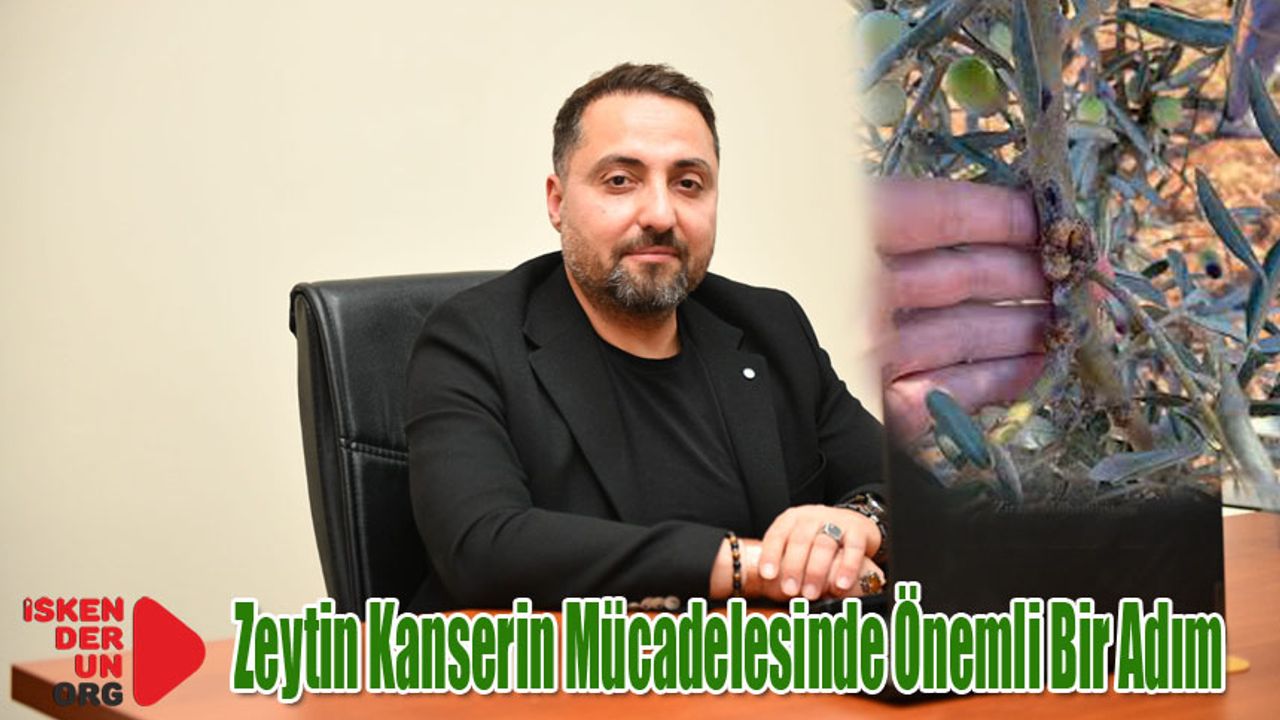 Hastalık Bölgede Yaygın