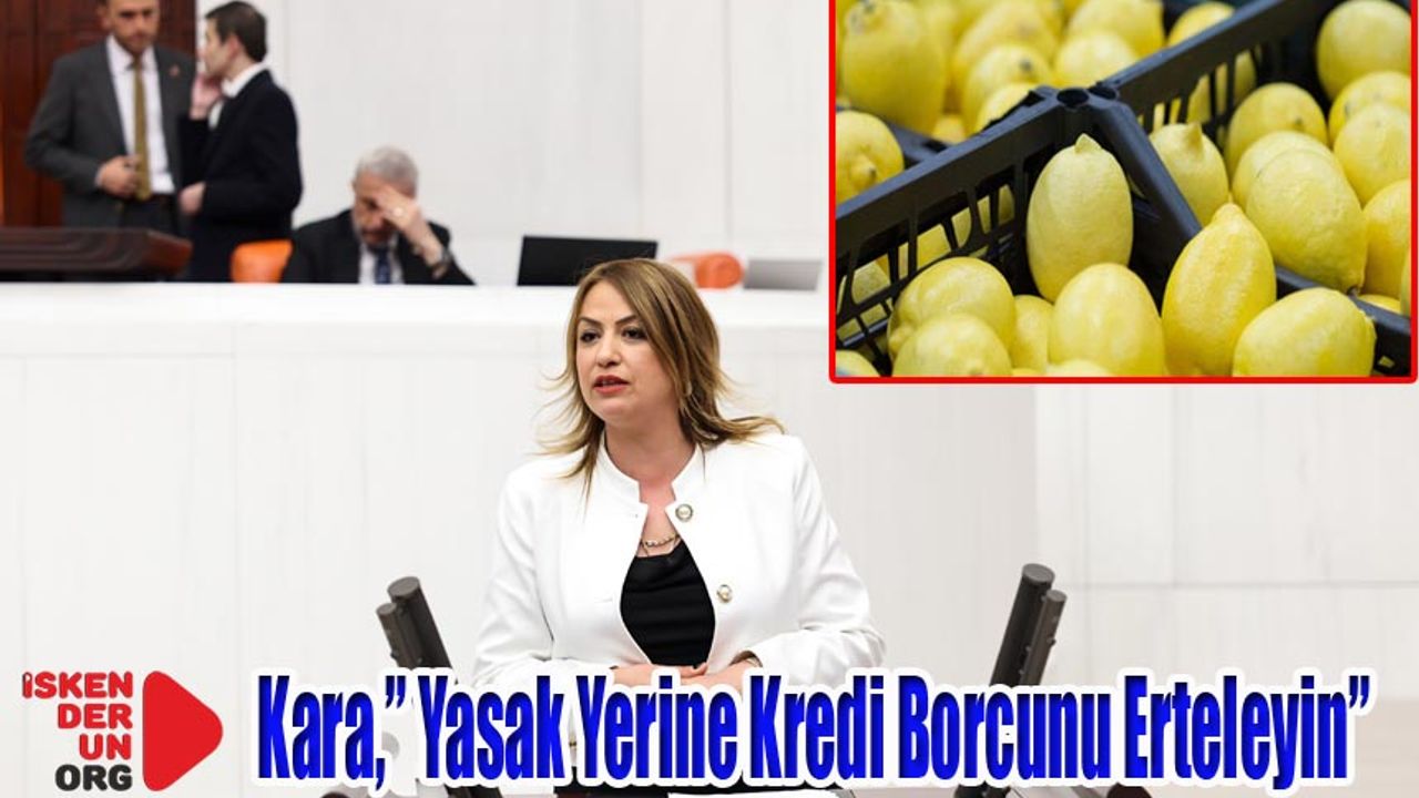 Çitçi Zor Durumda