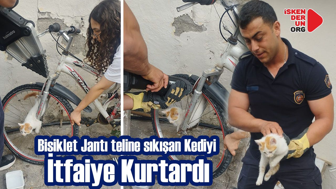 Bisiklet Jantı teline sıkışan Kediyi İtfaiye Kurtardı