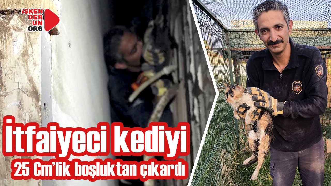 İtfaiyeci kediyi 25 Cm’lik boşluktan çıkardı