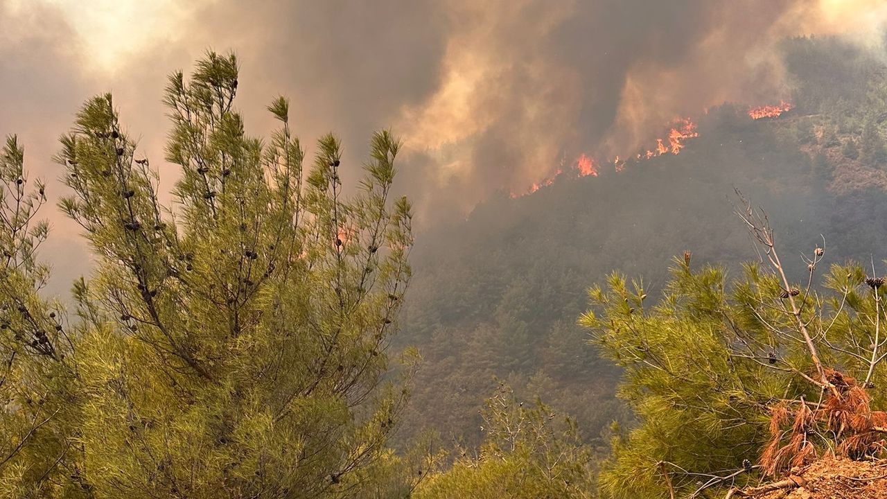 Hatay’da Orman Yangını Korkusu…