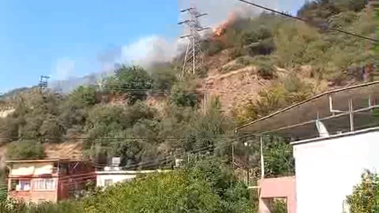 İskenderun Aşkarbeyli’de Orman Yangını...