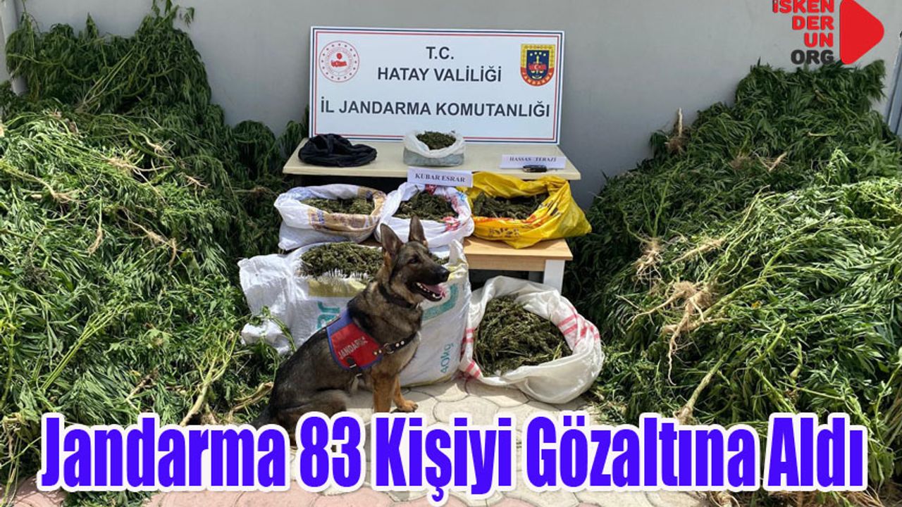 Uyuşturucu ve Kaçakçılıkğa Göz Açtırmıyor