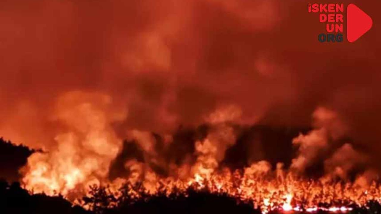 Sakarya’daki orman yangını 20 Saattir Devam Ediyor