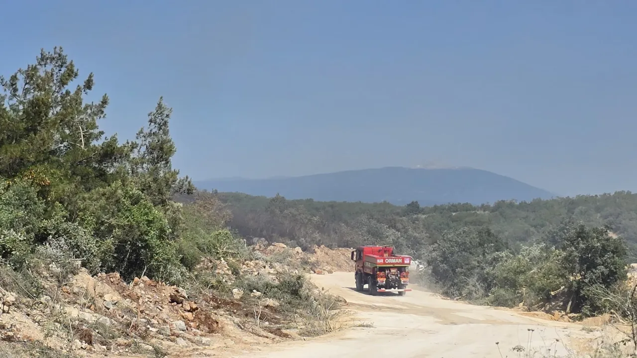 Bursa Nilüfer’de yangın! Söndürüldü