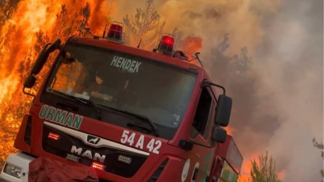 Jandarma’dan orman yangınlarına ilişkin soruşturma: 11 gözaltı!