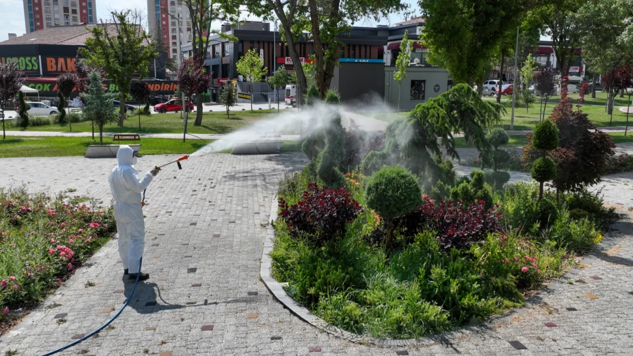 Konya’da yeşil alanları ilaçlamaya devam