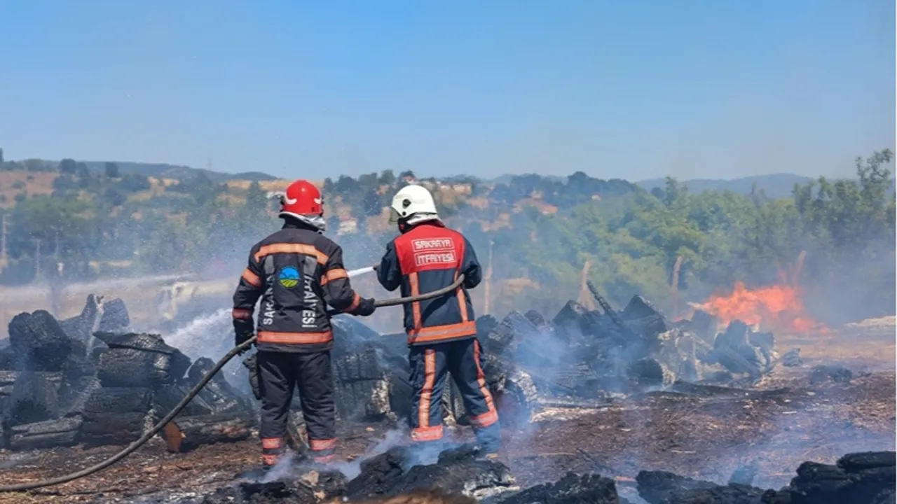 Sakarya Söğütlü’deki orman yangını kontrol altına alındı
