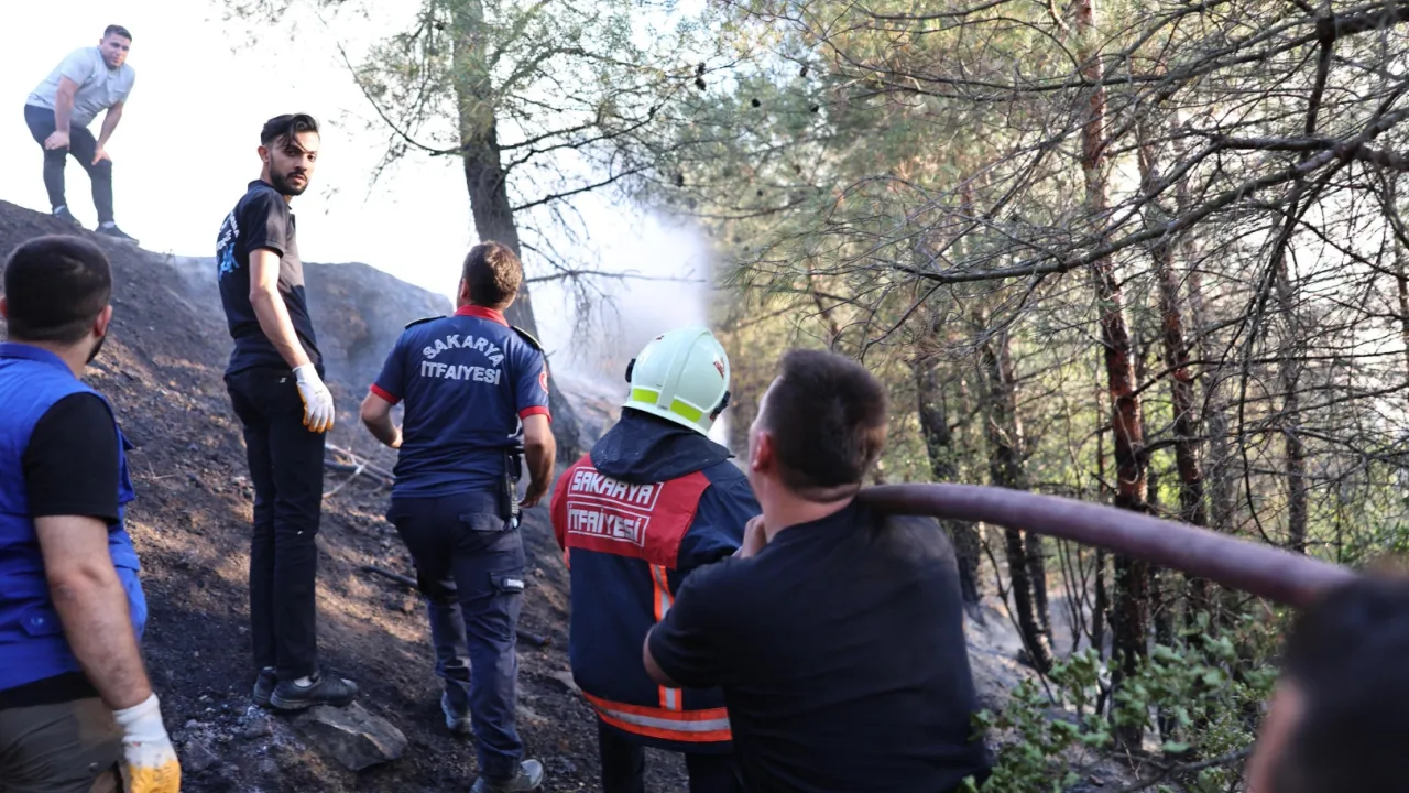 Sakarya’daki orman yangını kontrol altında: 3 gözaltı!