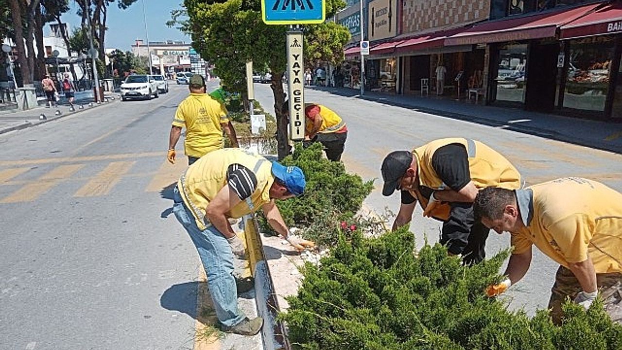 Başkan Çerçioğlu’nun Hizmetleri Kuşadası’nı Doğanın Yeşil Tonları ile Buluşturuyor