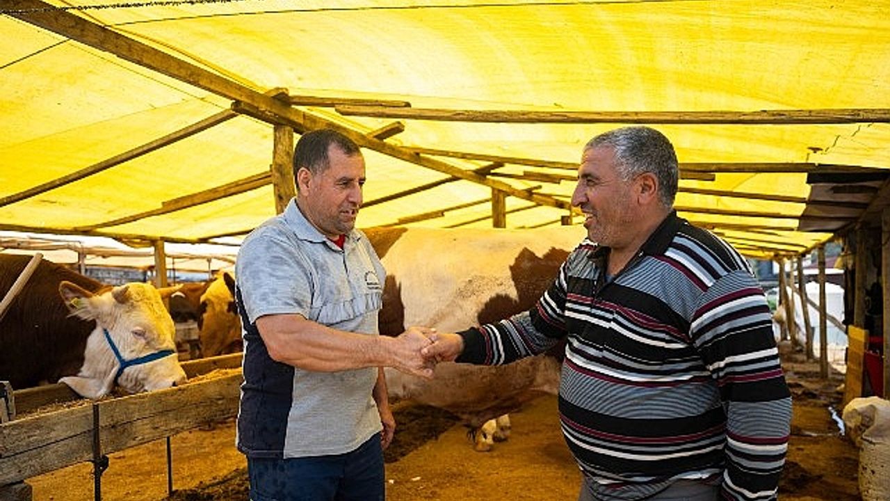 Bornova Kurban Pazarı kapılarını açtı