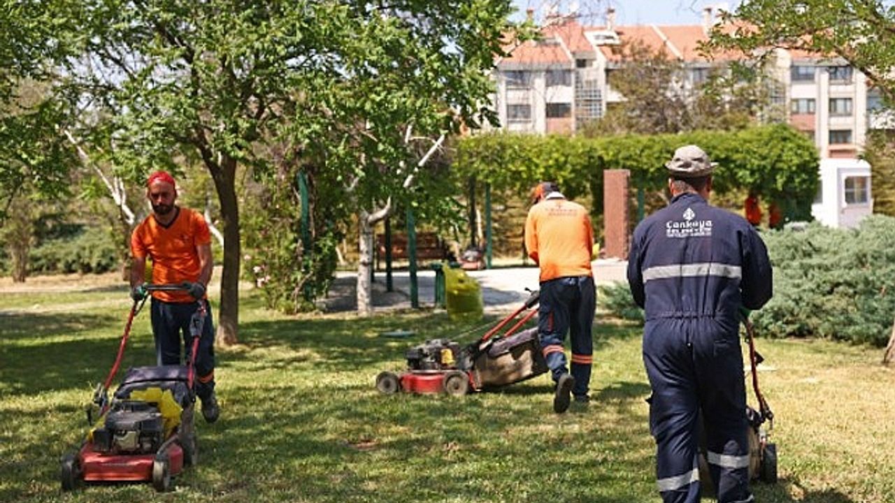 Çankaya Parklarında Çimler Biçiliyor, Otlar Temizleniyor