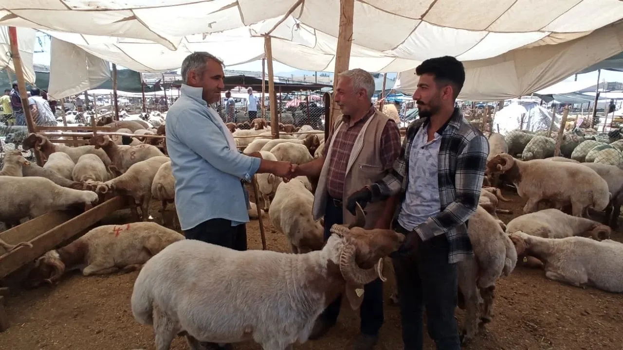 Hatay’da Hayvan Satış Yerleri Kapatıldı!