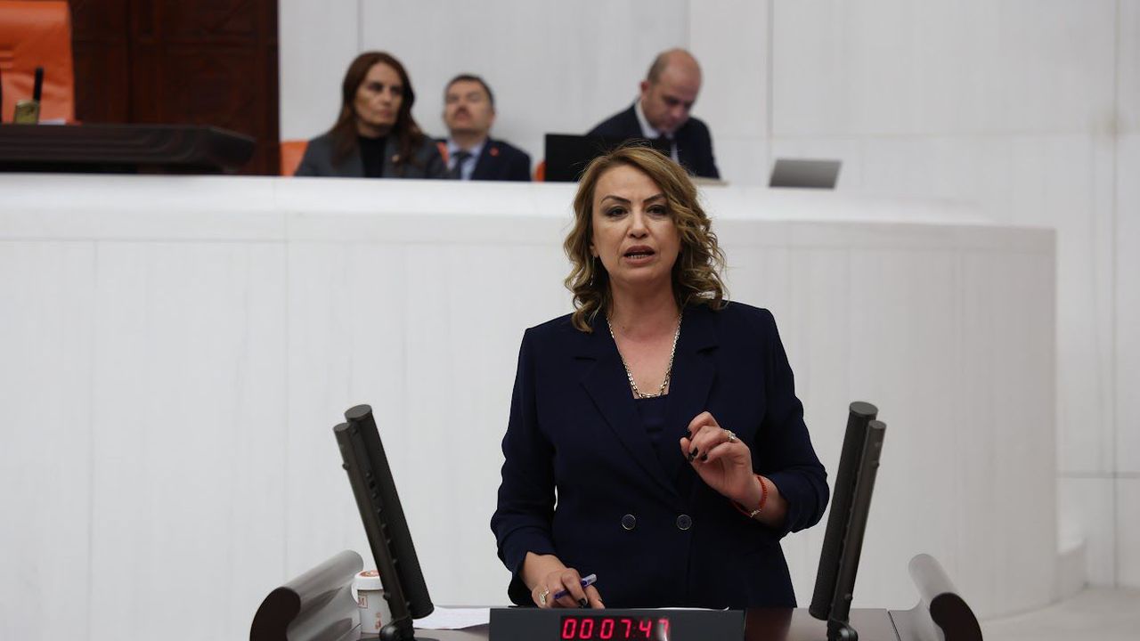 Kara: Mali Müşavirler Teknik Ve Hukuki İyileştirmeler İstiyor