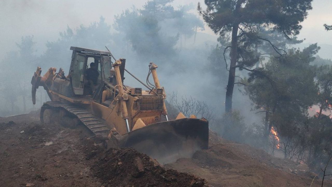 Suriye’nin Lazkiye yangınında 12. Gün…