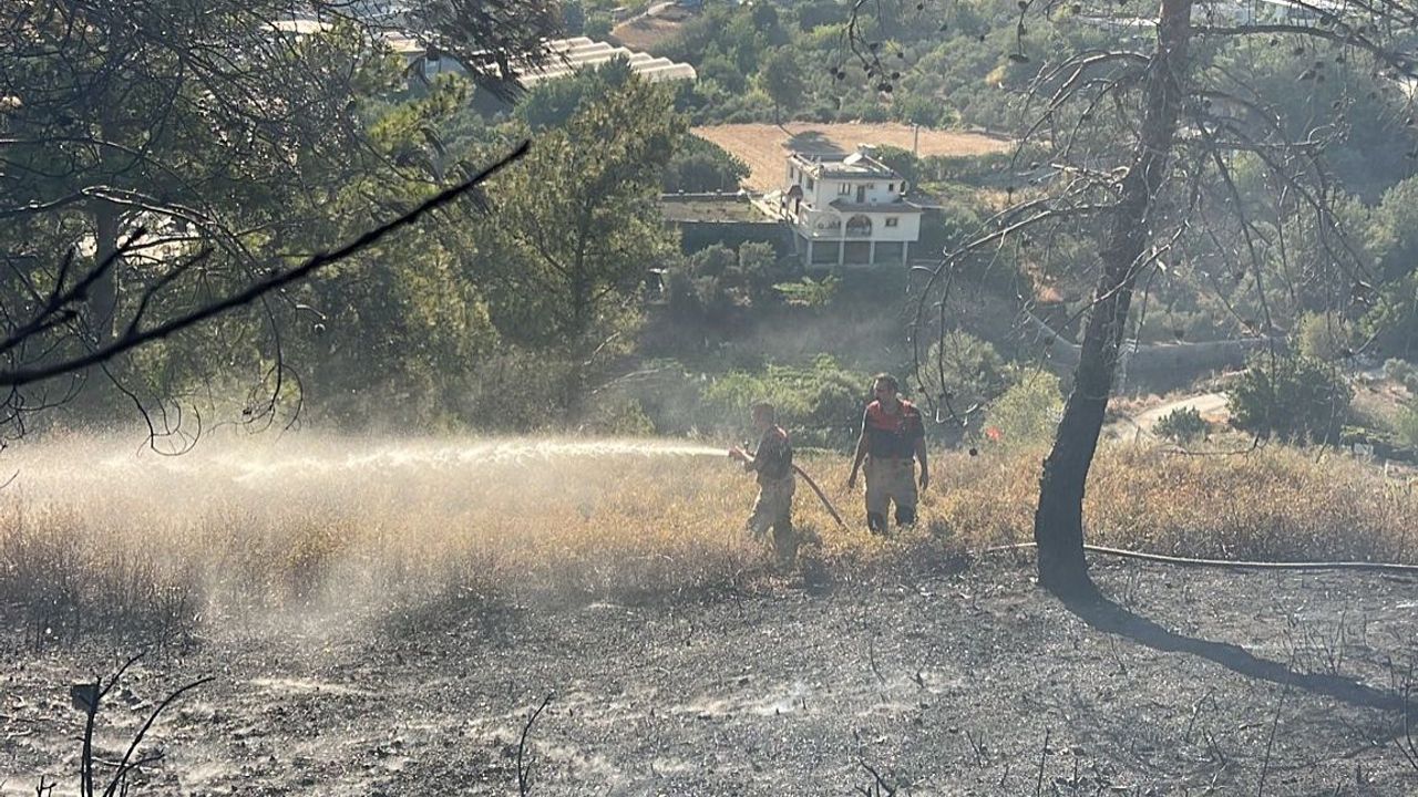 Antakya’da orman yangını kontrol altına alındı