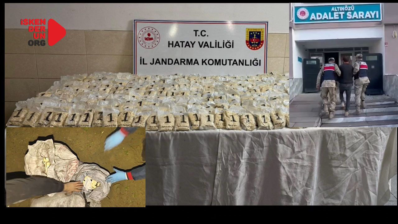 Zeytin Bahçesinde Uyuşturucu