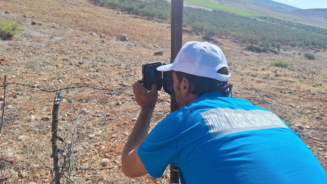 Hatay’da Çizgili Sırtlan ve Dağ Ceylanı Projesi Başladı