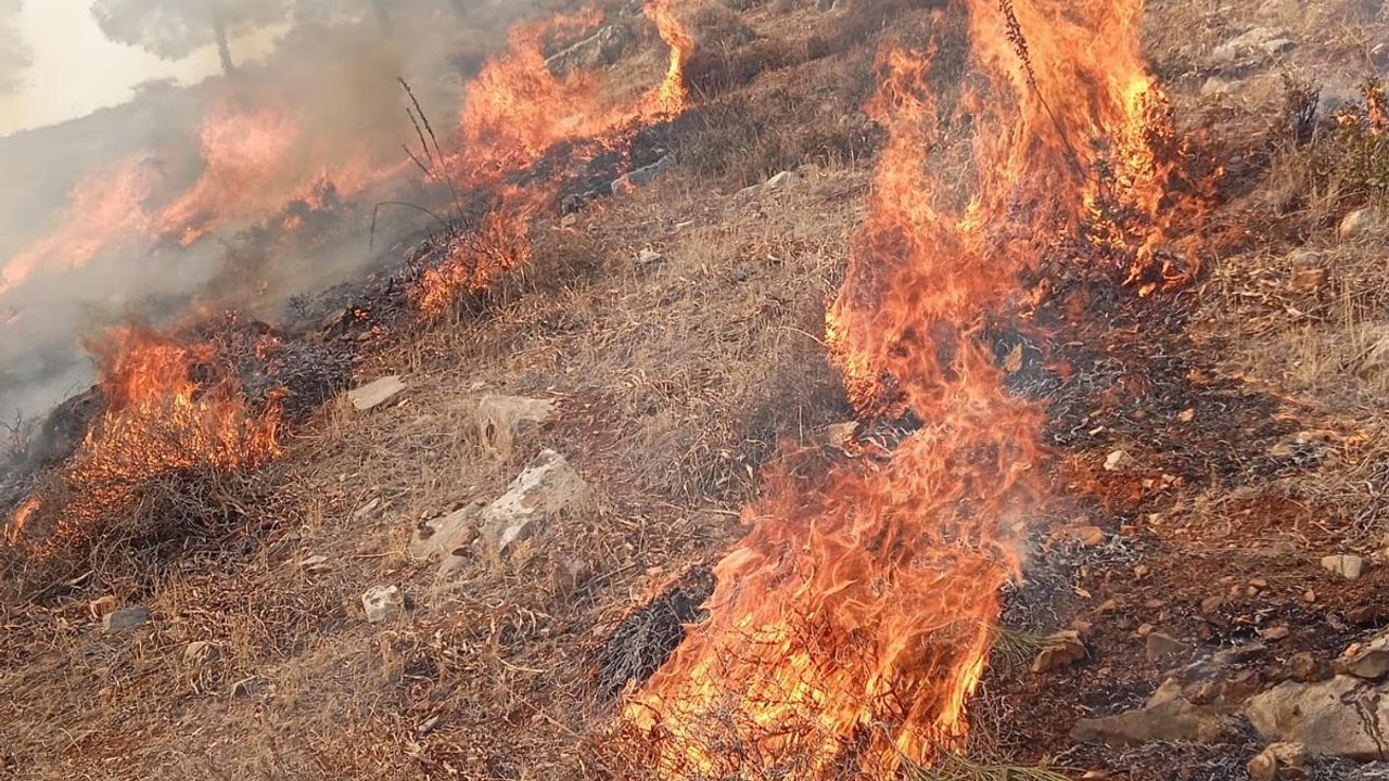 Kısa Sürede Kontrol Altına Alındı