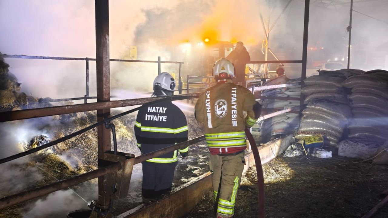 Nardüzü Mahallesi’nde Samanlık Yangını Korkuttu