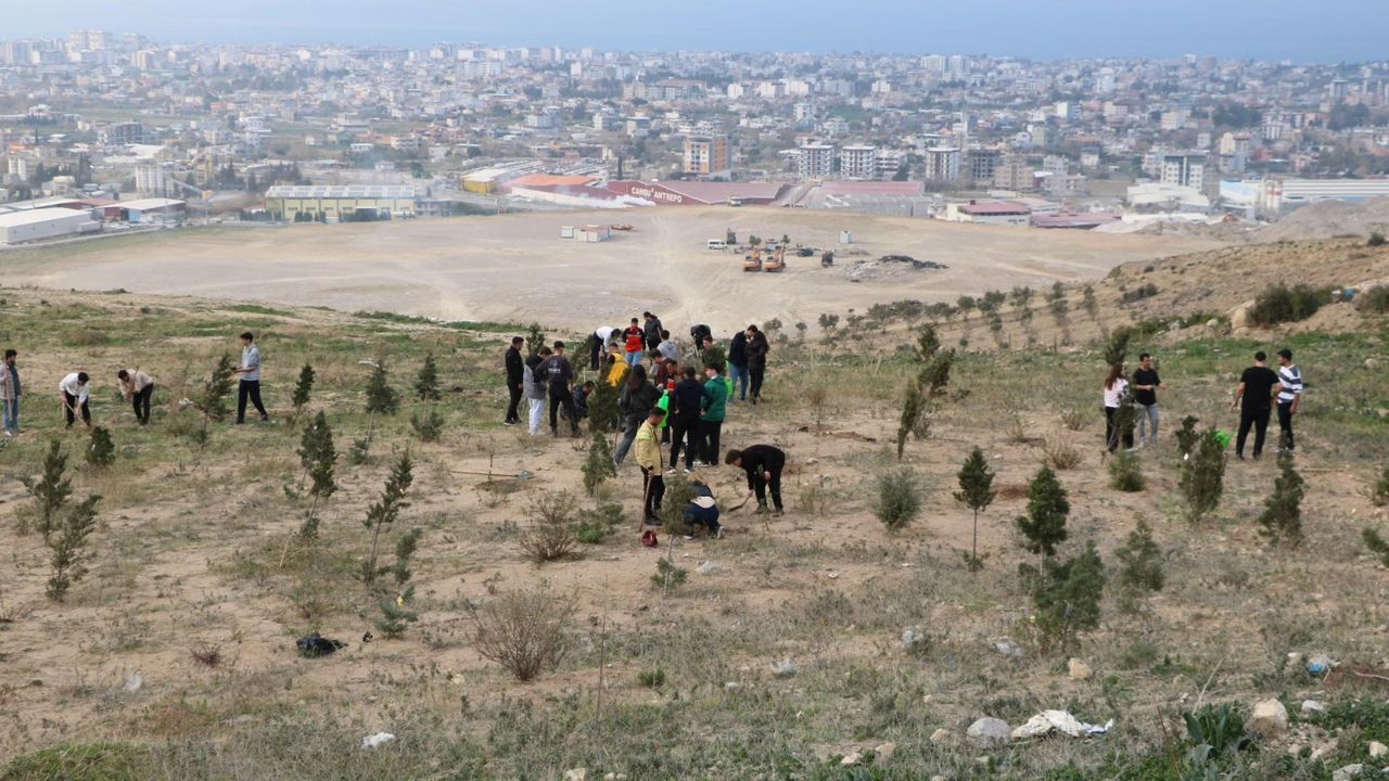 İSTE'li Yüksekokulu Yerleşkesinde fidan dikti…