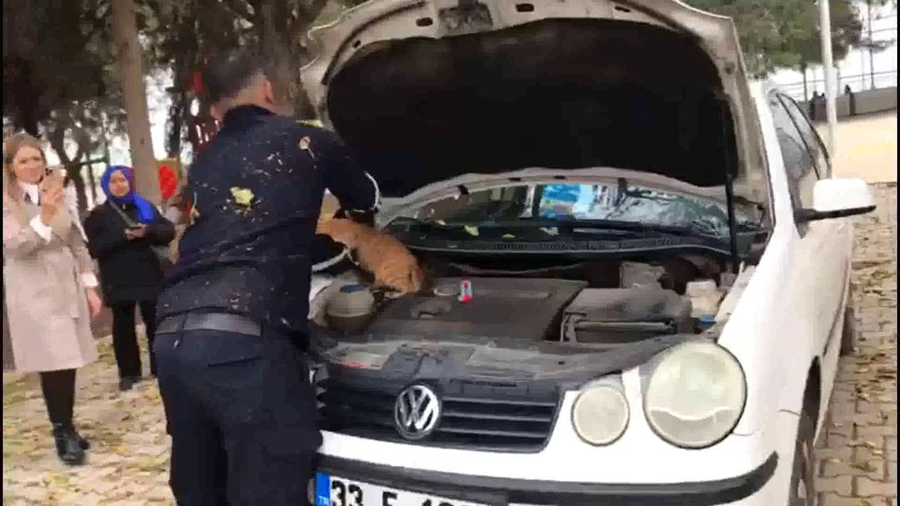 Otomobilin Motor Bölümündeki Kedi Kurtarıldı!