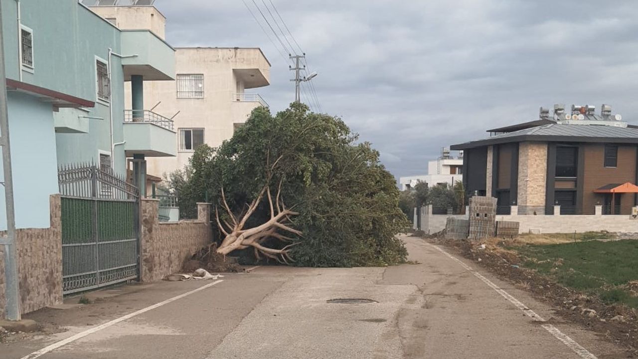 İskenderun ve Arsuz’da Kuvvetli Rüzgâr